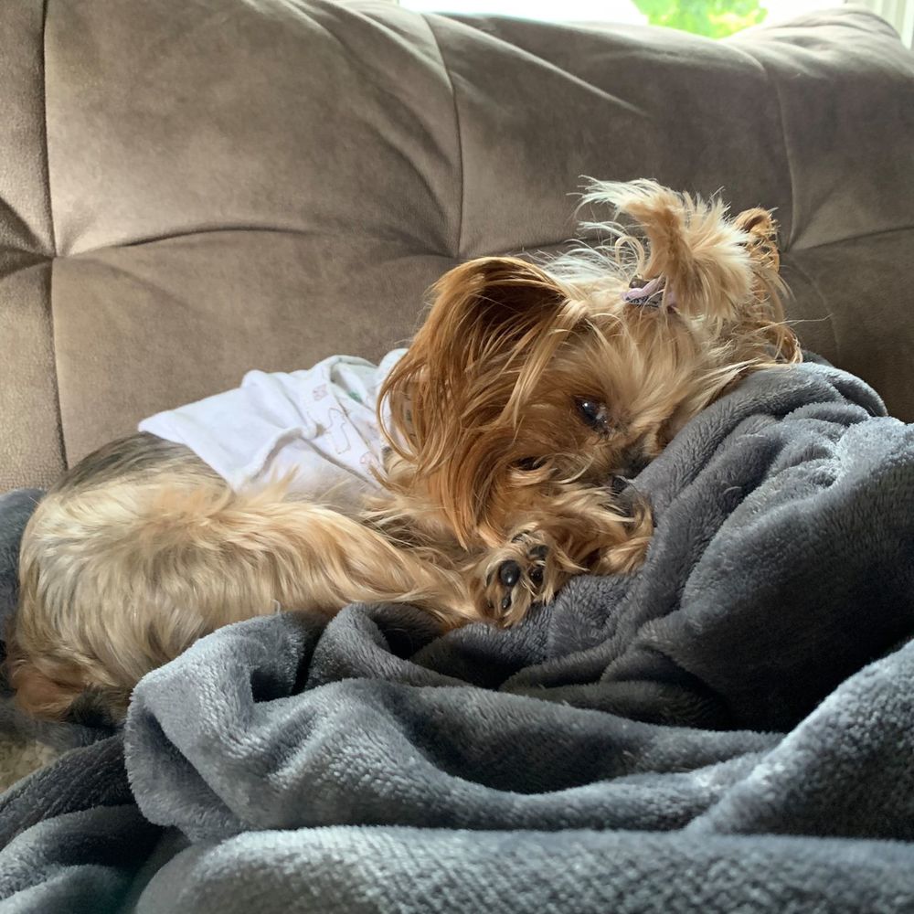 Meet your Posher, Debbie